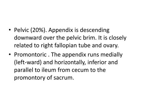 Image result for Understanding the Appendix