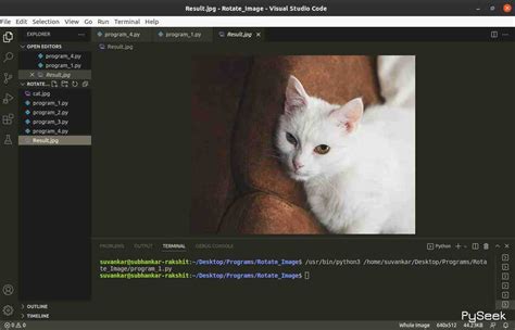 Mirror Image Python-Opencv 的图像结果