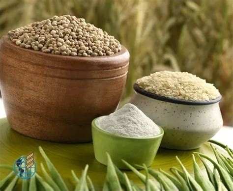 Manufacturer,Supplier & Exporter of Food Grade Guar Gam Powder.