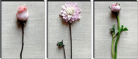 SAF paintings Flower Designer Multieffect UV Textured Panel Painting ...