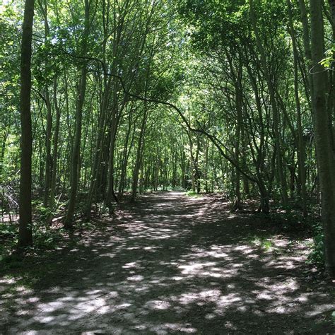 GARDINER COUNTY PARK (2025) All You Need to Know BEFORE You Go (with ...