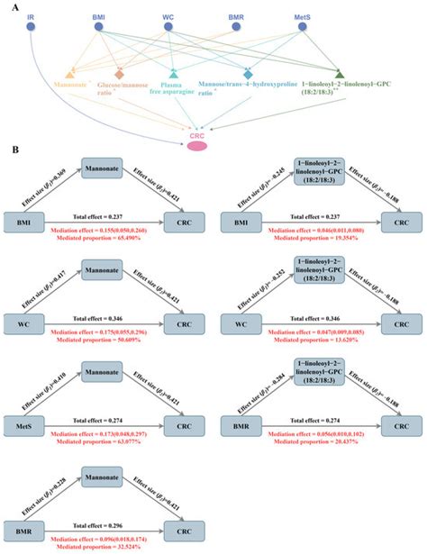 Shared Plasma Metabolites Mediate Causal Effects of Metabolic Diseases ...