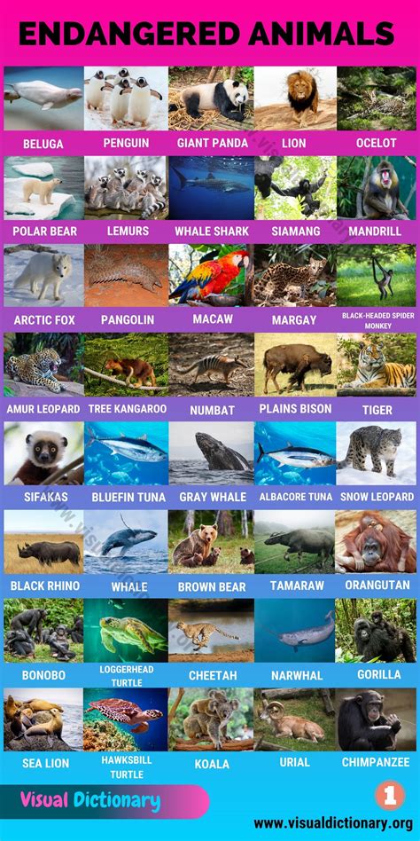 What Are Endangered Plants And Animals at Liam Freddie blog