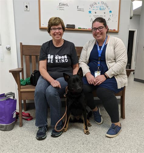 Upper Valley Humane Society Weekly Adoptions