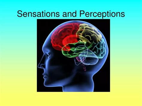 Image result for Sensation and Perception Examples