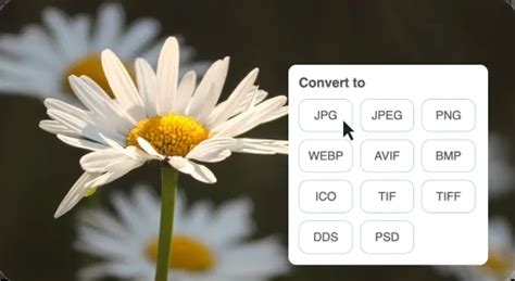 Image result for ICO File Converter