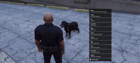 How to Put K9 Script In 的图像结果