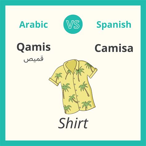 Arabic vs. Spanish, 10 Similar Words — 3arabian