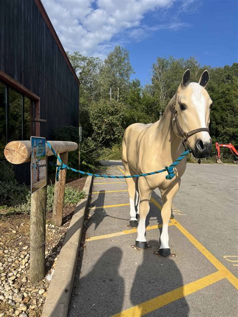 Best Little Pit Stop: Concord General Store & Petting Zoo - Milwaukee ...