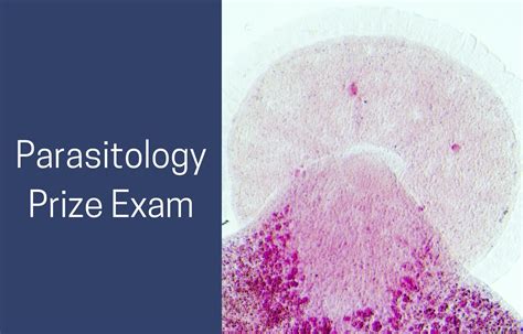 JIPMER Announces Conduction Of Tropical Parasitology Prize Examination ...