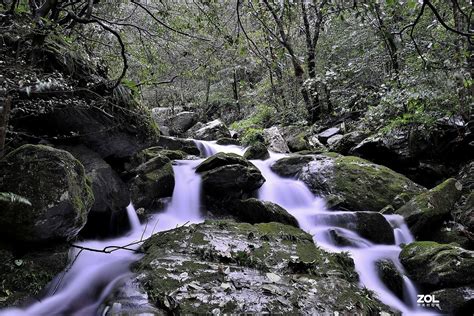 【林间小溪流水潺潺摄影图片】风光摄影_太平洋电脑网摄影部落