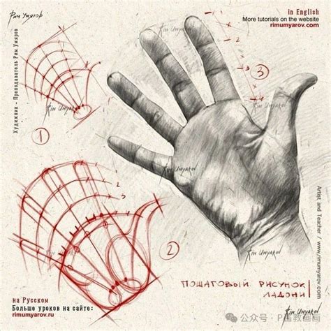 Image result for API Document Extensions