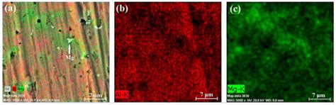 Microstructural and Mechanical Properties of CAP-WAAM Single-Track ...
