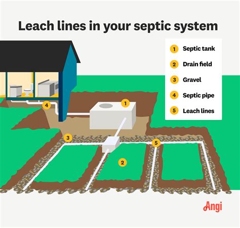 Septic Leach Lines: How They Work | Angi