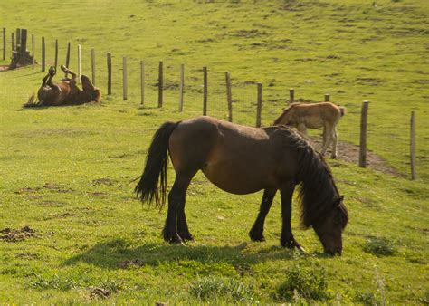 Natural World 的图像结果