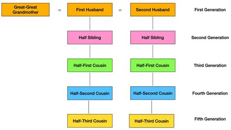 How Do Family Trees Work With Cousins? - Family Tree Resources
