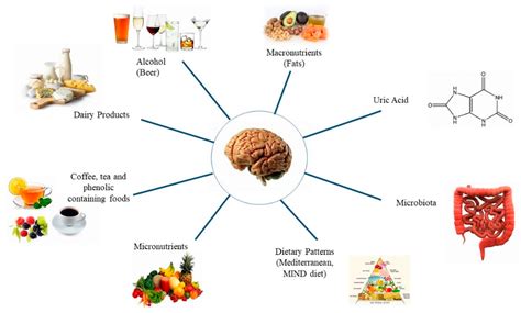 Nutritional Risk Factors, Microbiota and Parkinson’s Disease: What Is ...