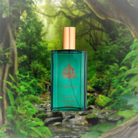 Discover Classic Perfumes in the Coty Collection at Belvish