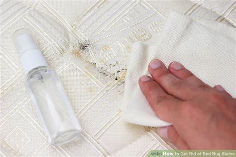3 Ways to Get Rid of Bed Bug Stains - wikiHow