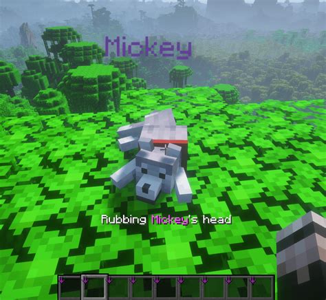 Image result for Minecraft Stacy's Wolves Mod