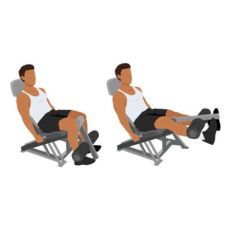 Man doing seated machine leg extensions exercise. 26751848 Vector Art ...