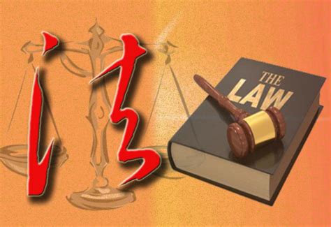 法律、法规、政策、标准是如何区别和分类的?-法律