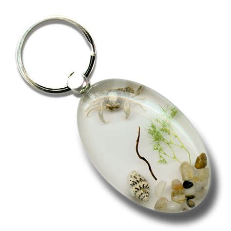 Bug Keychains 的图像结果