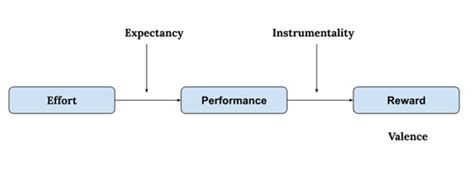 Image result for Expectancy Theory Examples