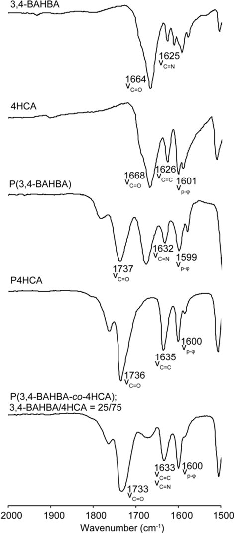 Polarized Emission of Wholly Aromatic Bio-Based Copolyesters of a ...