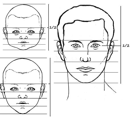 Image result for Face Proportion Drawing Lesson