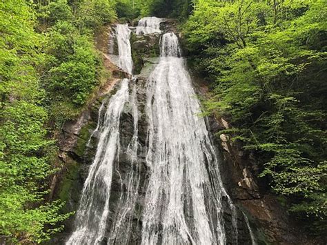 Duzce Tourism (2024): Best of Duzce, Türkiye - Tripadvisor