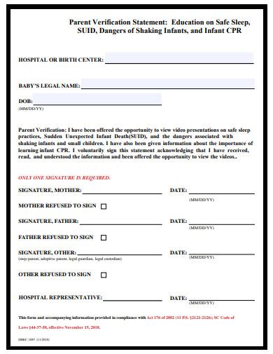 Image result for Verification Statement Example