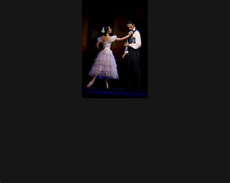 Production / THE LADY OF THE CAMELLIAS / Latvian National Opera