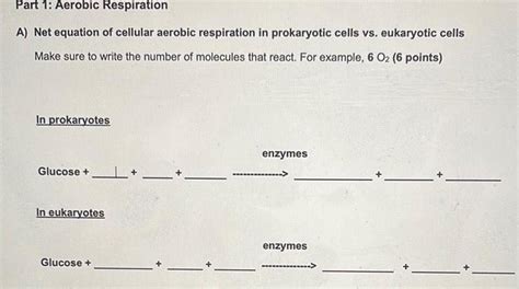 [ANSWERED] Part 1 Aerobic Respiration A Net equation of cellular - Kunduz