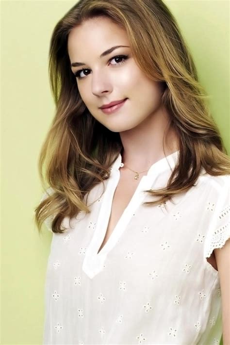 Download wallpaper look, actress, blonde, the series, Emily VanCamp ...