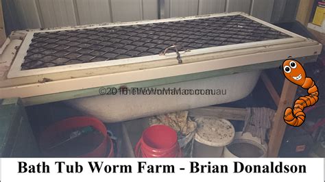 Basement Worm Farm 的图像结果