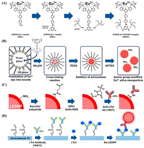 Encapsulation-Stabilized, Europium Containing Nanoparticle as a Probe ...