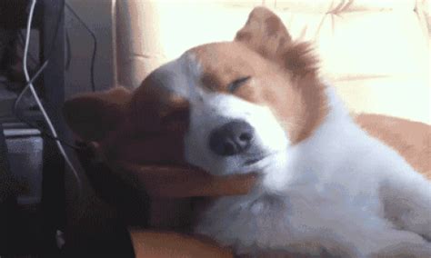 14 Stages You Go Through When You Just Can't Get Any Sleep Through The ...