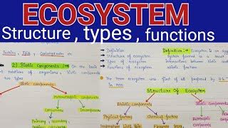 Image result for Ecosystem Structure and Function