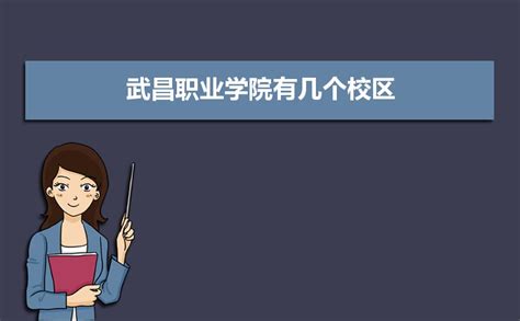 武昌职业学院是几本公办还是民办？学院可不可靠环境怎么样？