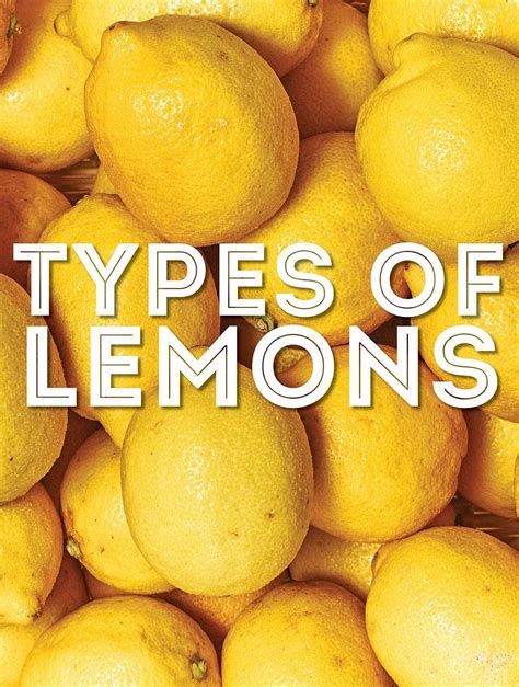 Types Of Lemons: A Comprehensive Guide To Different Lemon Varieties ...