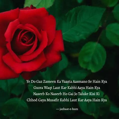 Ye Do Gaz Zameen Ka Vaast... | Quotes & Writings by Ayesha Amaarah ...