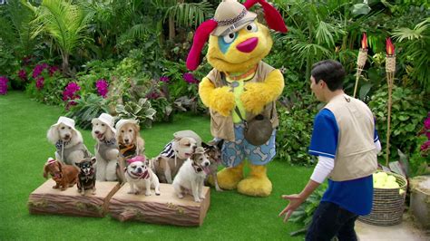 Watch Mutt & Stuff Season 2 Episode 4: Doggy Adventure Day - Full show ...