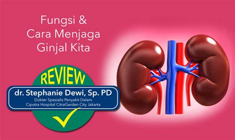 cara memperbaiki ginjal karena asam urat