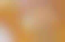 60 Unique Gift Wrap Examples