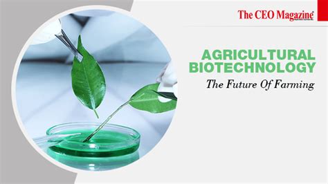 Agricultural Biotechnology: The Future Of Farming