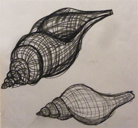 Image result for Shell Drawing Sheet