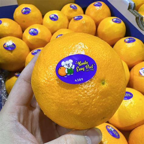 Koala Easy Peel Oranges - 1kg – Umall - Australia's Largest Online Asian Supermarket