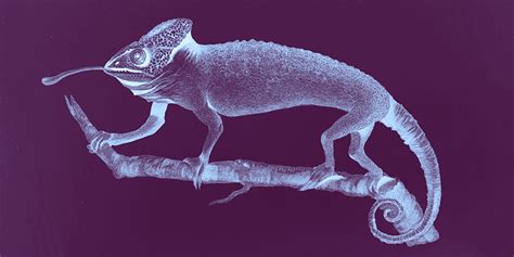 Image result for Remove Duplicate Values From Array JavaScript