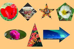 Image result for HTML Shape